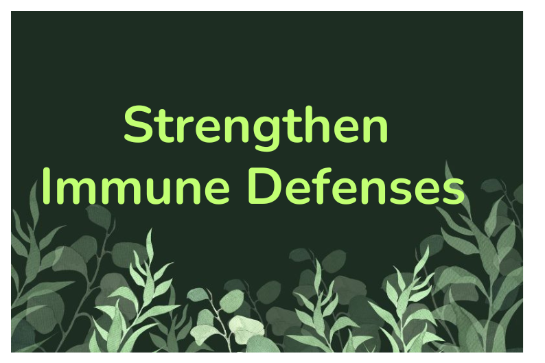 Herbs for Immune Support: Simple Tips to Boost Your Defenses