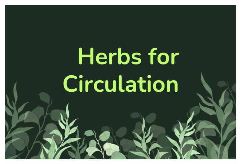 Herbs for Blood Flow and Cold Hands Remedy to Energize You