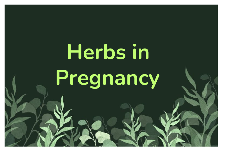 Herbs in Pregnancy: Safe Plant Use for Expecting Mothers