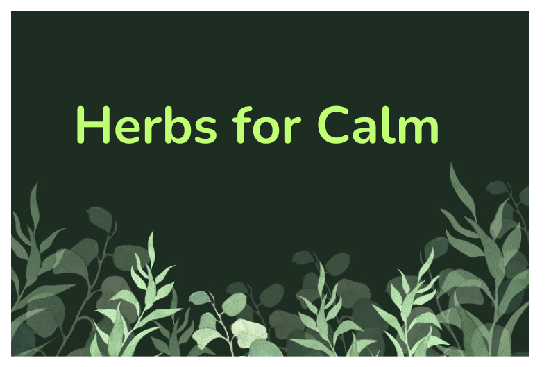 Herbs for Nervous System Health: Stress Relief and Balance