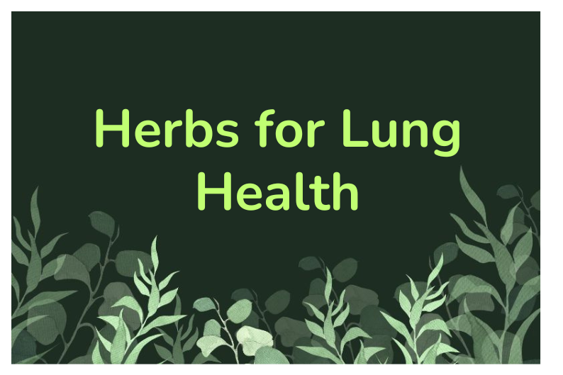 Natural Herbs for Lung Support and Respiratory Wellness