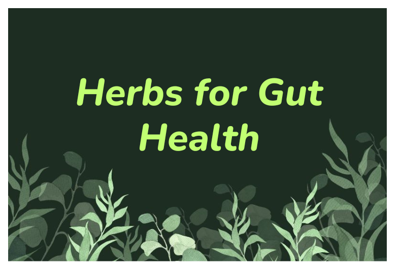 Digestive Herbs for Gut Repair: Restore Balance for Health