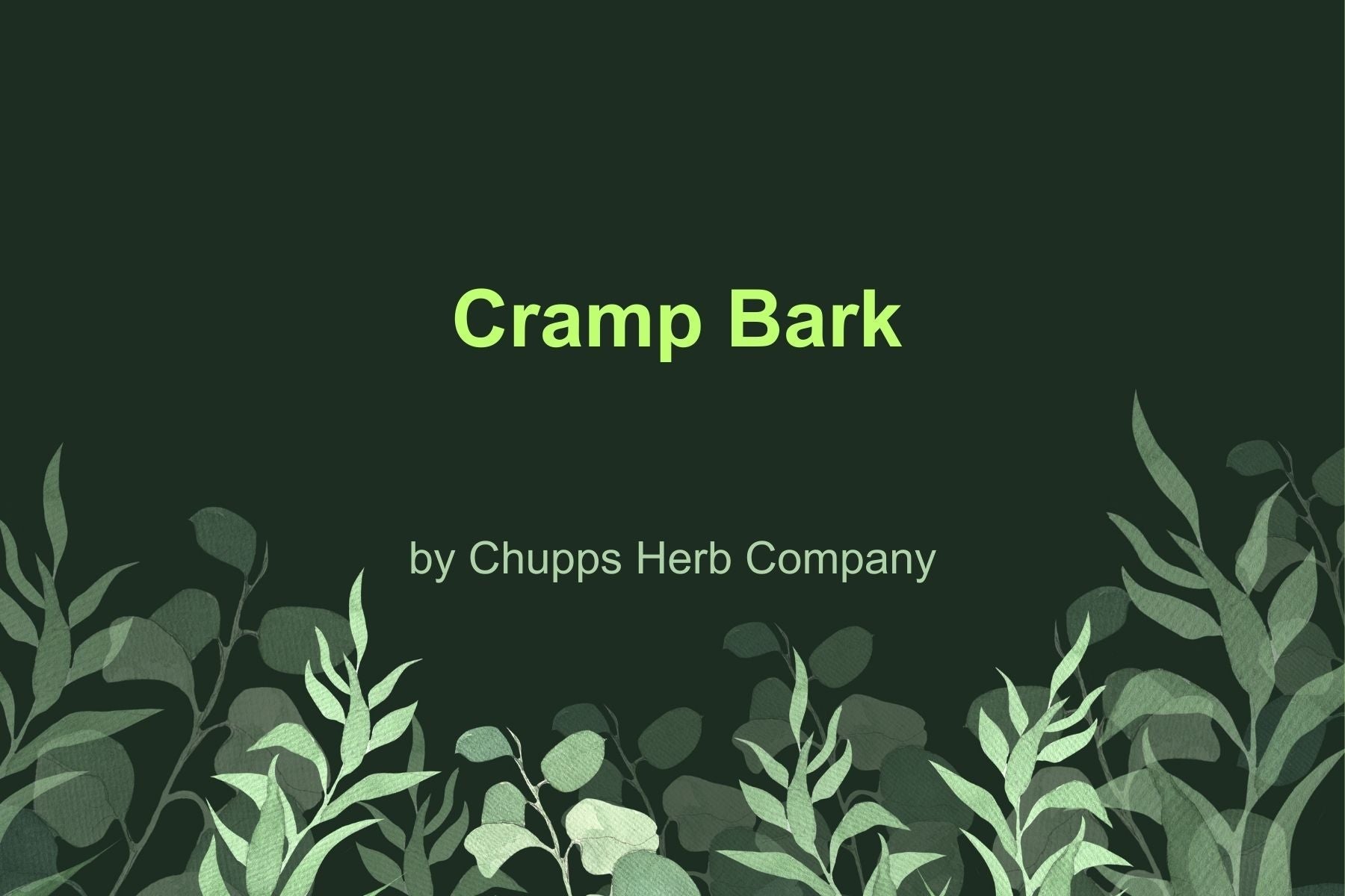 Ease Muscle Cramps Naturally with Cramp Bark