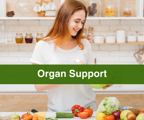 Organ Support