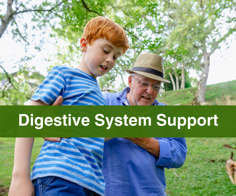 Digestive System Support