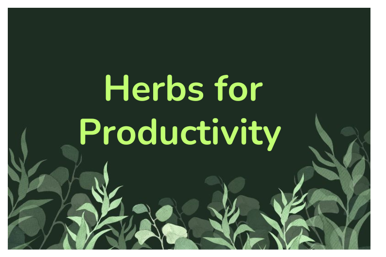 Boost Productivity and Brain Health with Focus Herbs Daily