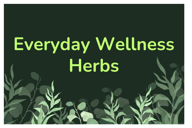 Tonic Herbs and Adaptogens: Essential Plants for Daily Wellness