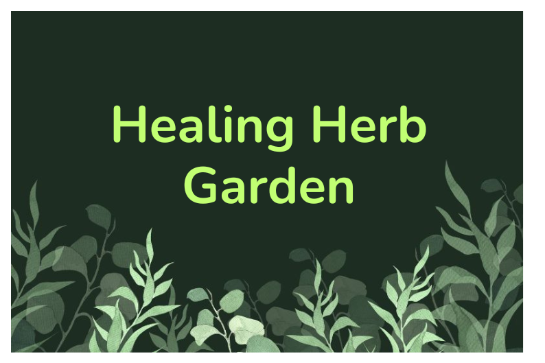 Start Your Healing Garden: Grow Medicinal Herbs for Beginners