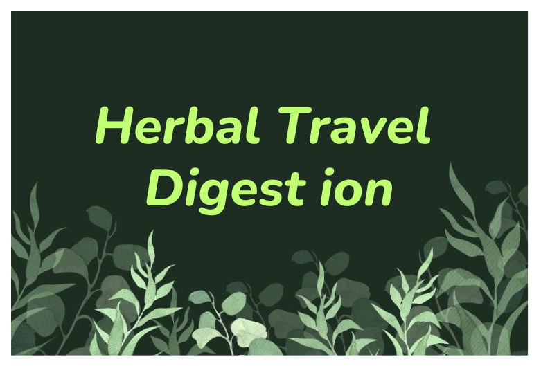 Herbs for Better Digestion: Travel Wellness Tips While Flying
