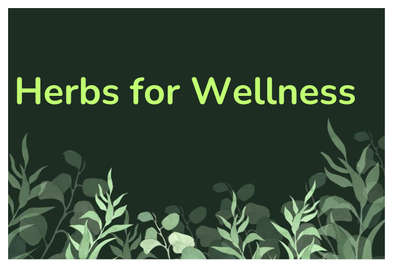 Safe Herbs and Gentle Remedies for Family Wellness at Home