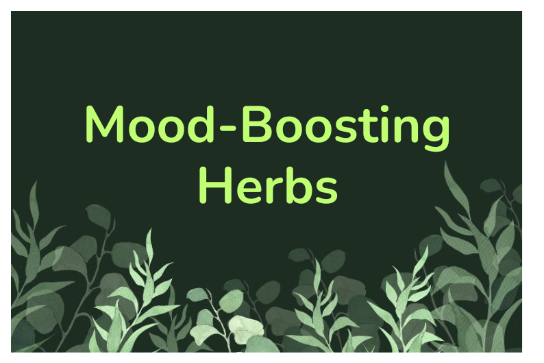 Mood Herbs and Uplifting Plants for Natural Emotional Balance