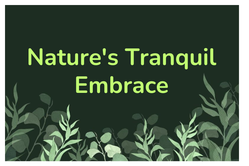 Embracing Tranquility: Grounding and Healing in Nature