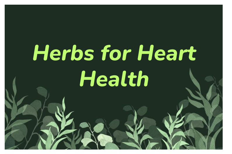 Natural Herbs for Blood Pressure & Heart Health Support