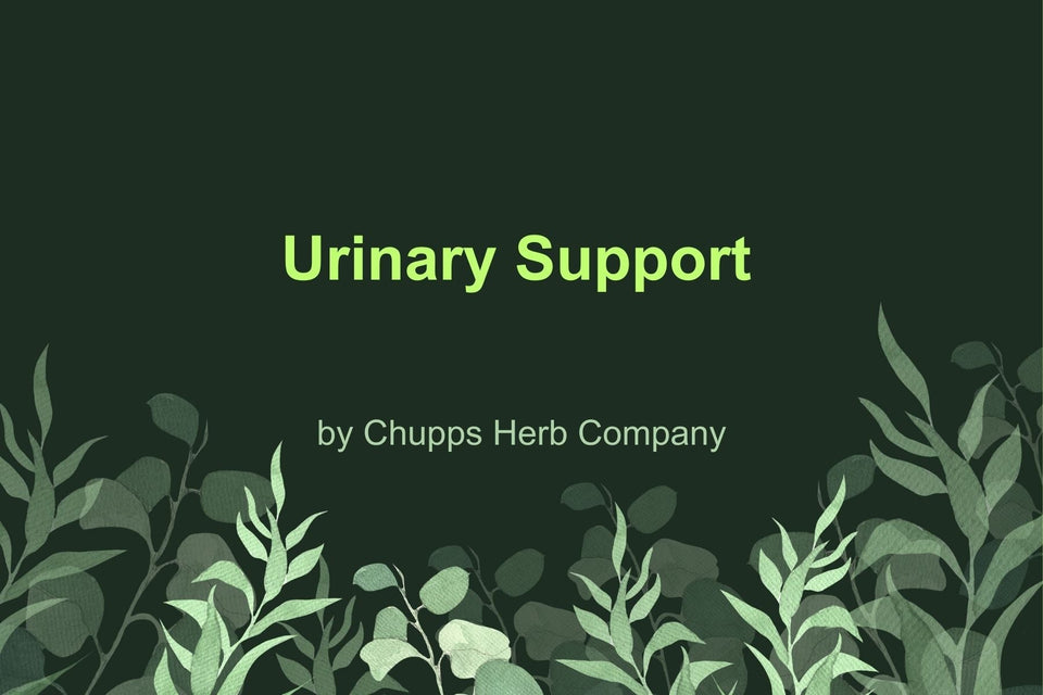 Maintain Your Urinary Health with Urinary Support: Natural Aid for Wellness