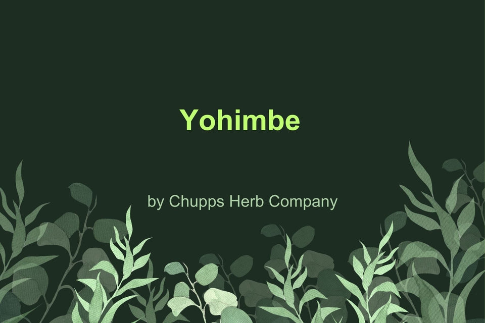 Enhance Your Vitality with Yohimbe: Natural Support for Energy and Wellness