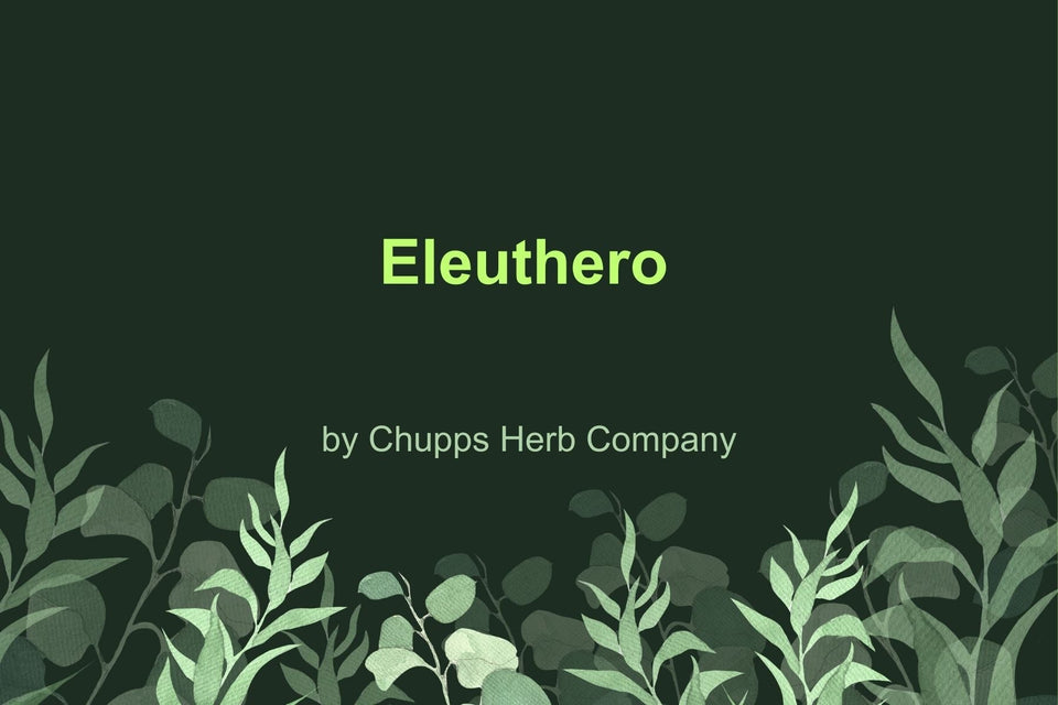 Boost Your Energy and Beat Stress with Eleuthero