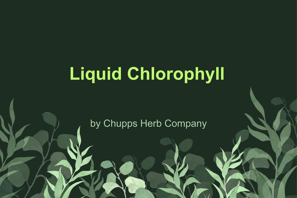 Detoxify Naturally with Liquid Chlorophyll: Cleanse and Energize