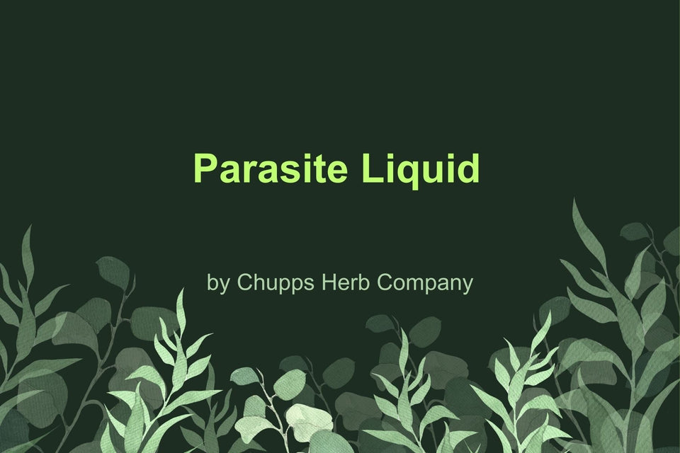 Support Your Cleanse with Parasite Liquid: Concentrated Aid for Parasite Removal