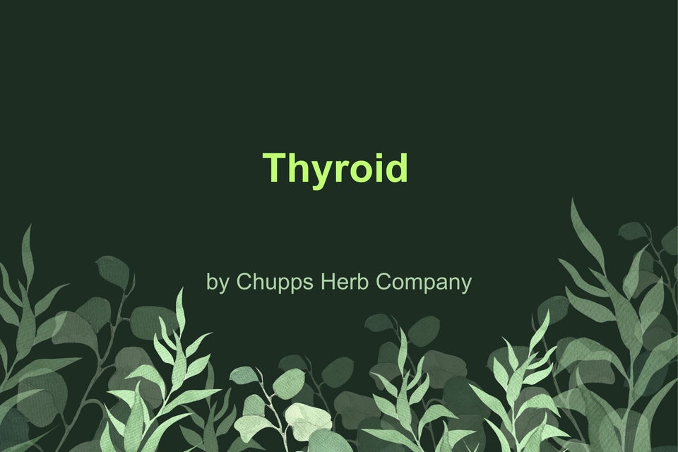 Support Your Thyroid Health with Thyroid: Natural Aid for Metabolic Balance