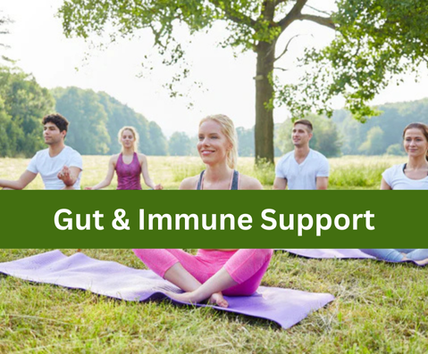 Gut & Immune Support