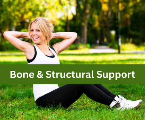 Bone & Structural Support