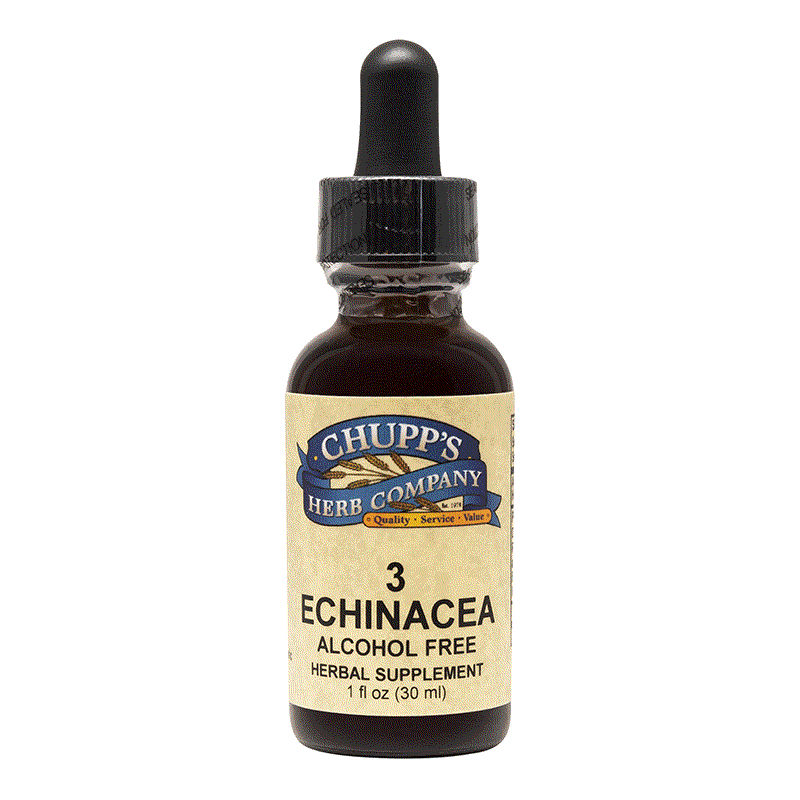 3 Echinacea herbal supplement bottle with alcohol-free immune support formula and fresh ginger.