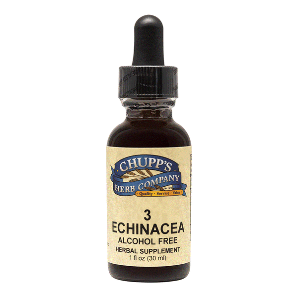 3 Echinacea herbal supplement bottle with alcohol-free immune support formula and fresh ginger.