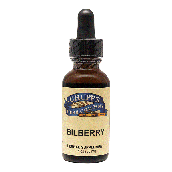 Organic Bilberry Berry herbal supplement in dropper bottle for eye health support 500mg per serving