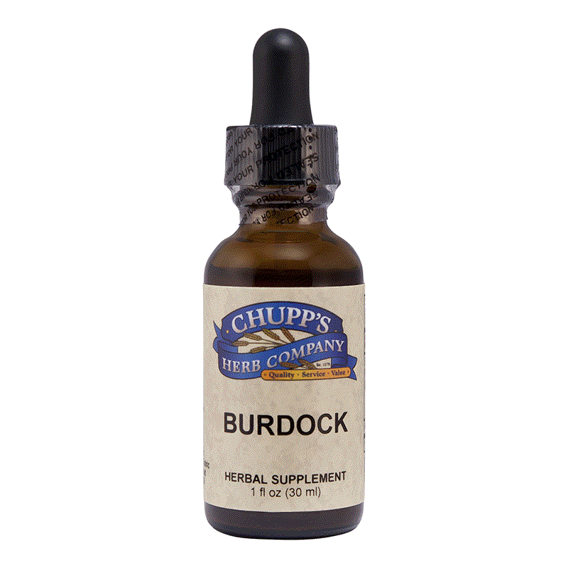 Organic Burdock Root herbal supplement dropper bottle supporting skin health, 667 mg per serving
