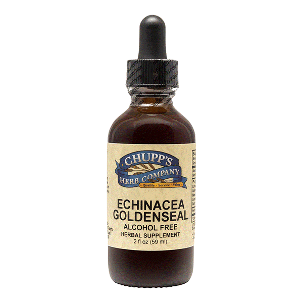 Echinacea Goldenseal Liquid herbal supplement bottle with alcohol-free 8-herb immune formula for cold defense and seasonal relief