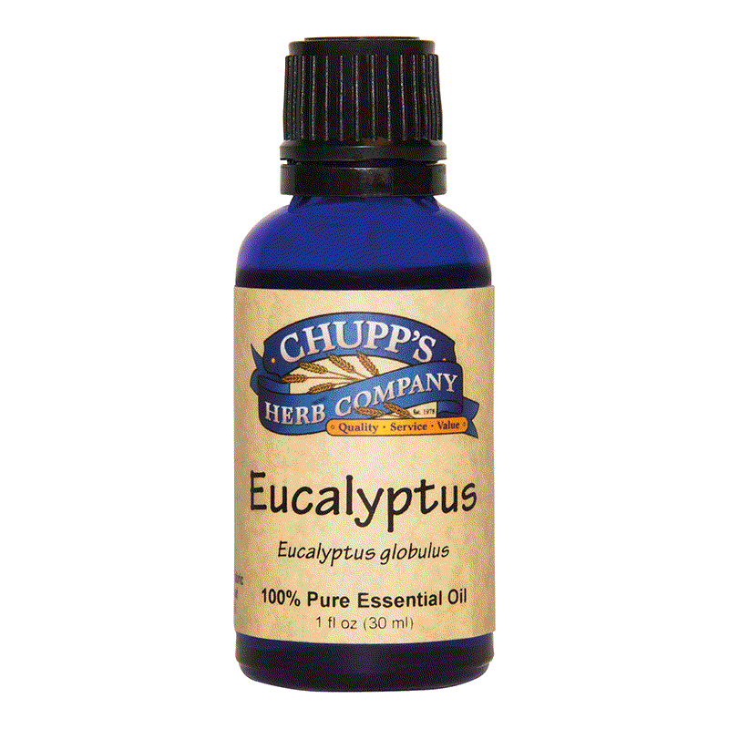 Eucalyptus