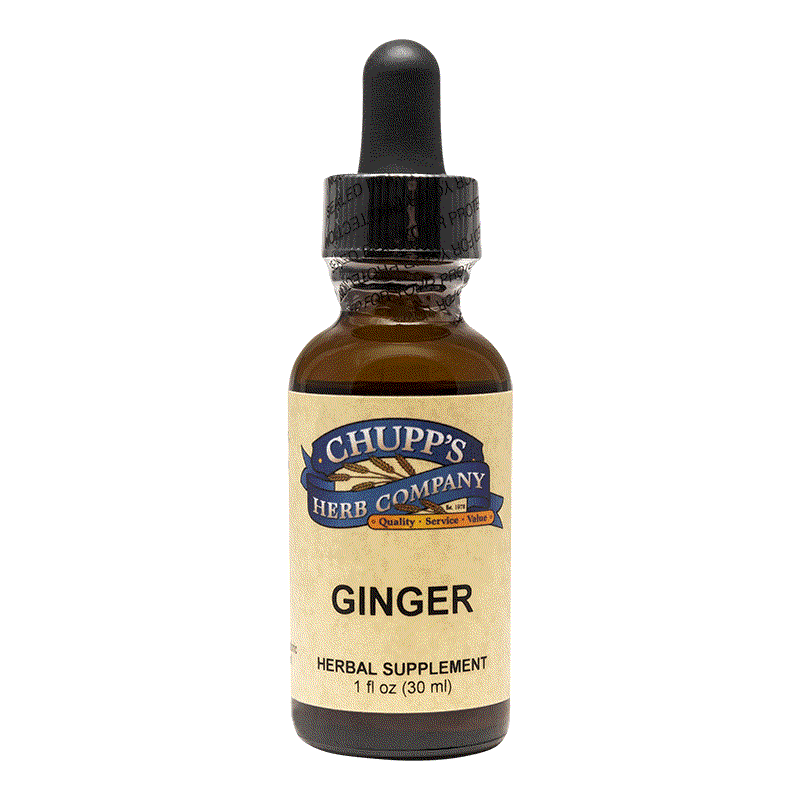 Bottle of Chupp's Herb Company ginger herbal supplement with dropper featuring organic fresh ginger root for circulation and digestion support