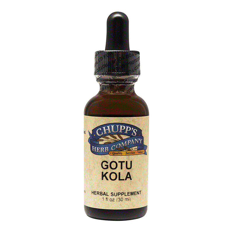 Gotu Kola Liquid organic herbal supplement in 1 fl oz dropper bottle with 500 mg per serving