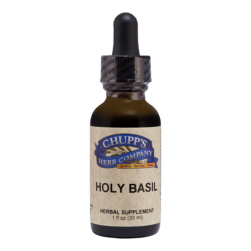 Chupp's Holy Basil Liquid herbal supplement bottle with 500 mg organic Ocimum Sanctum extract, 1 fl oz dropper bottle