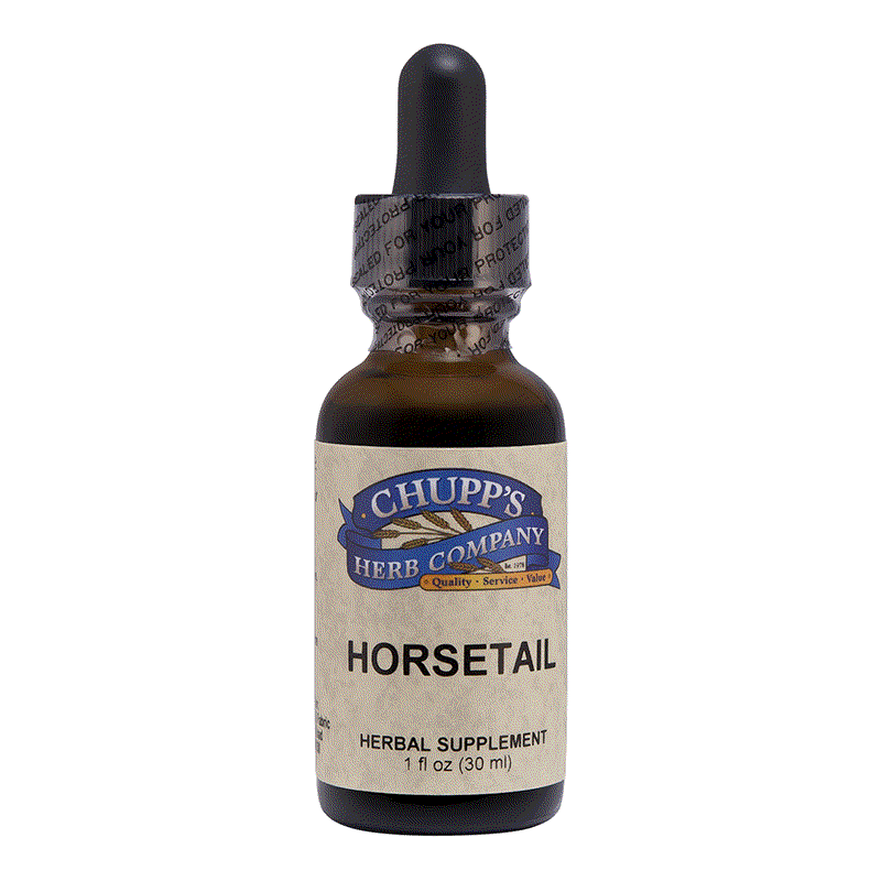 Chupp's Horsetail herbal supplement bottle supporting hair, nails, calcium absorption, and natural diuretic.