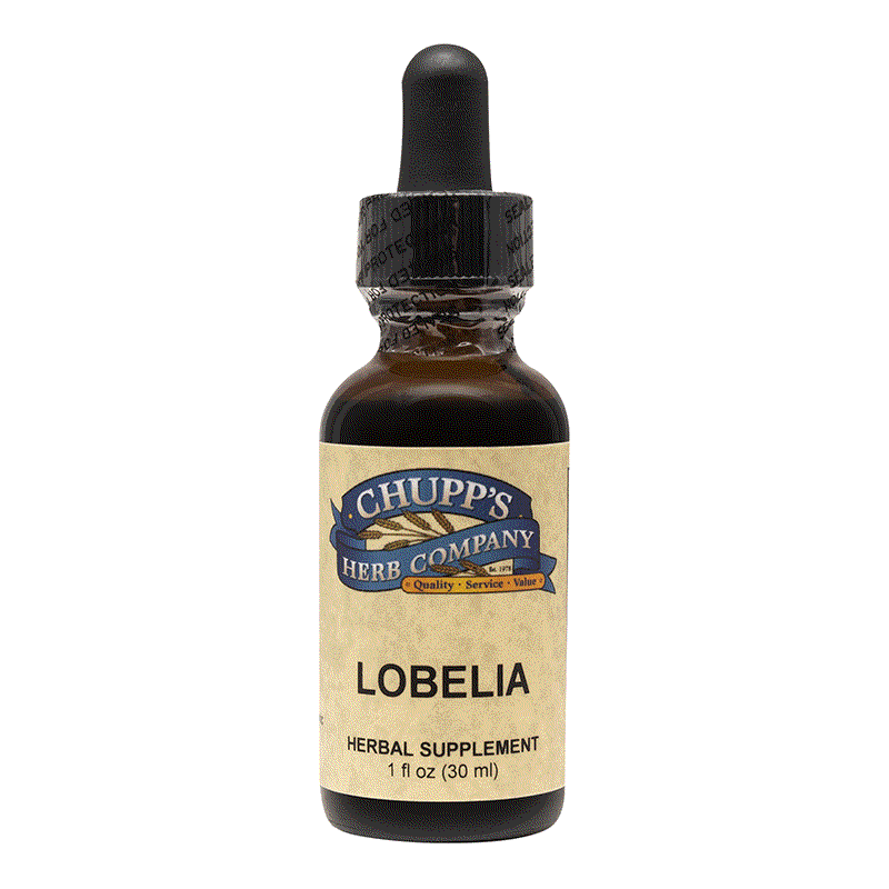Organic Fresh Lobelia herbal supplement bottle with dropper for lung support, 500 mg per serving.