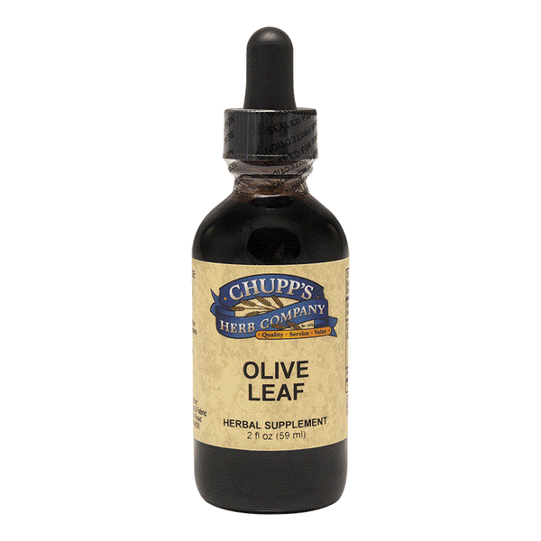 Organic olive leaf liquid herbal supplement in a dark glass dropper bottle for immune health support