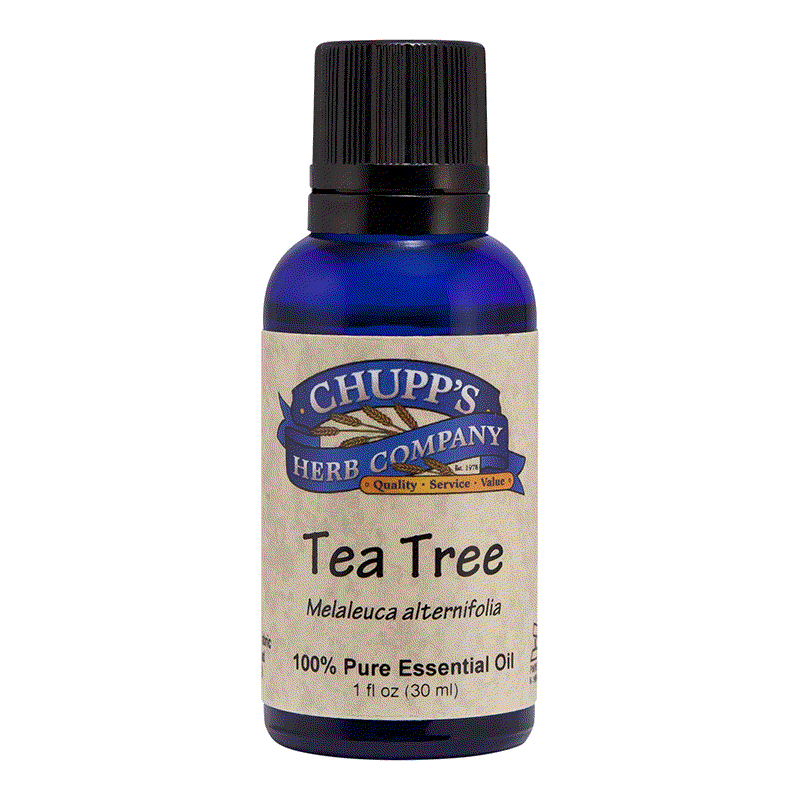 Bottle of Chupp's Herb Company 100% pure Tea Tree essential oil for skin recovery and antifungal use