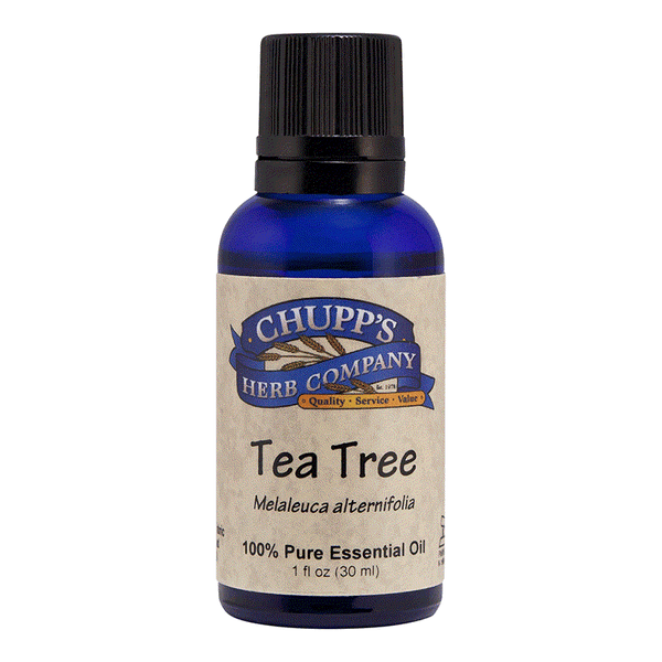 Bottle of Chupp's Herb Company 100% pure Tea Tree essential oil for skin recovery and antifungal use
