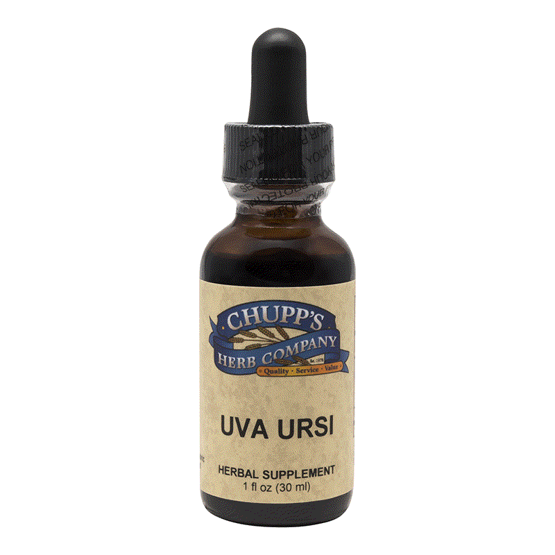 Uva Ursi herbal supplement bottle with dropper for bladder and kidney support organic diuretic