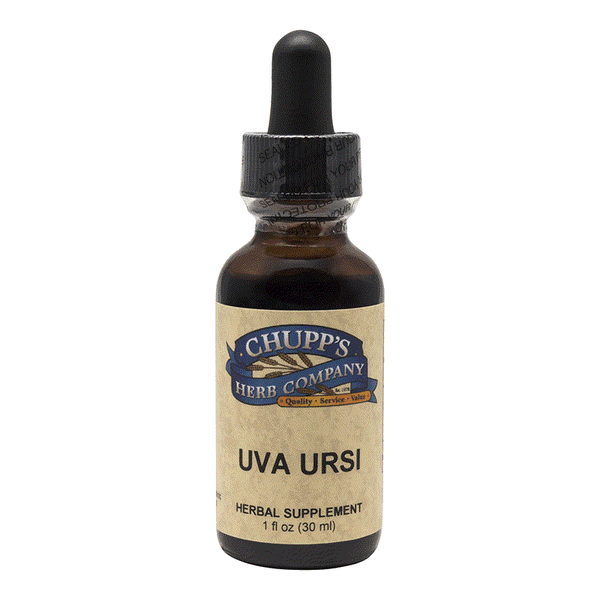 Uva Ursi herbal supplement bottle with dropper for bladder and kidney support organic diuretic